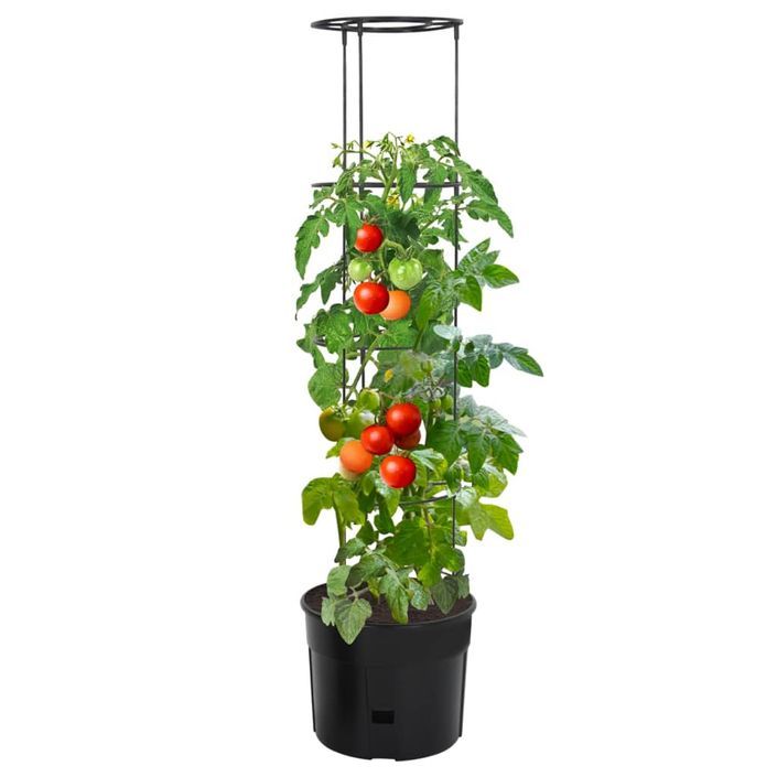 Jardinière à tomate Anthracite Ø39x150 cm Polypropylène - Photo n°2