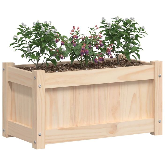 Jardinière d'extérieur 60x31x31 cm bois de pin massif - Photo n°4