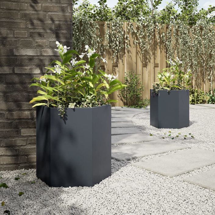 Jardinières 2 pcs anthracite hexagone 46x40x45 cm acier - Photo n°4