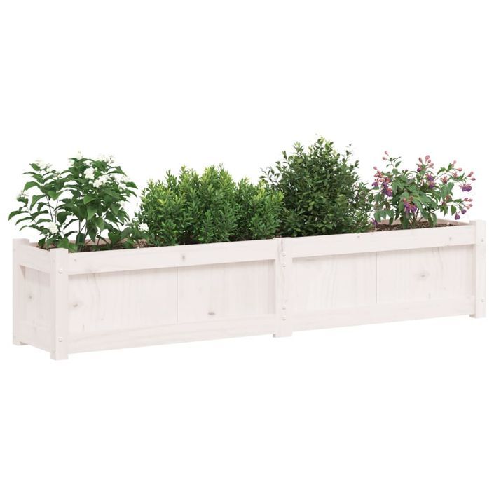 Jardinières 2 pcs blanc bois de pin massif - Photo n°3