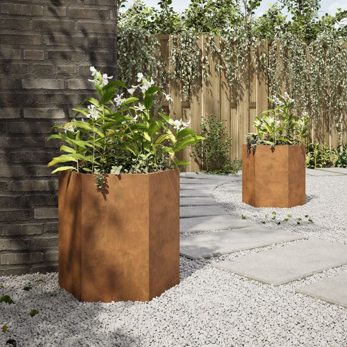 Jardinières 2 pcs hexagone 46x40x45 cm acier corten - Photo n°4