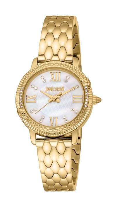 Just Cavalli Time Fidenza 2023-24 Collection JC1L276M0055 - Photo n°1