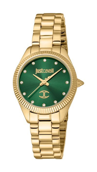 Just Cavalli Time Pacentro 2023-24 Collection JC1L267M0065 - Photo n°1