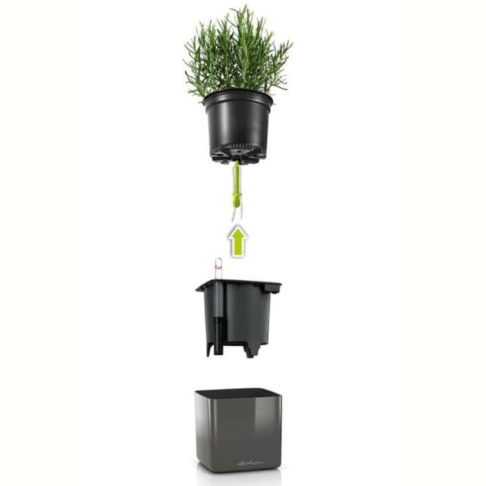 LECHUZA 3 pcs Jardinières Green Wall Home Kit Anthracite brillant - Photo n°5