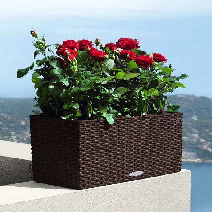 LECHUZA Jardinière BALCONERA Cottage 50 ALL-IN-ONE Moka - Photo n°4