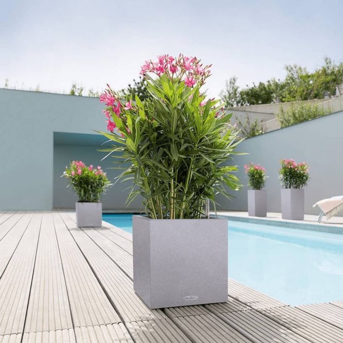 LECHUZA Jardinière CANTO Stone 30 Low ALL-IN-ONE Gris pierre - Photo n°1