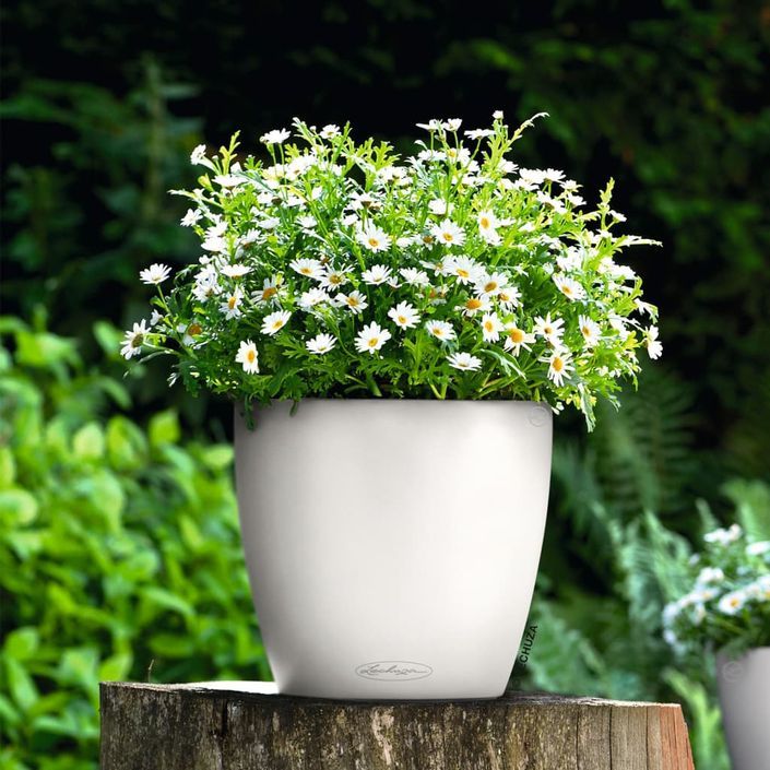 LECHUZA Jardinière Classico Color 28 ALL-IN-ONE Blanc brillant 13190 - Photo n°11