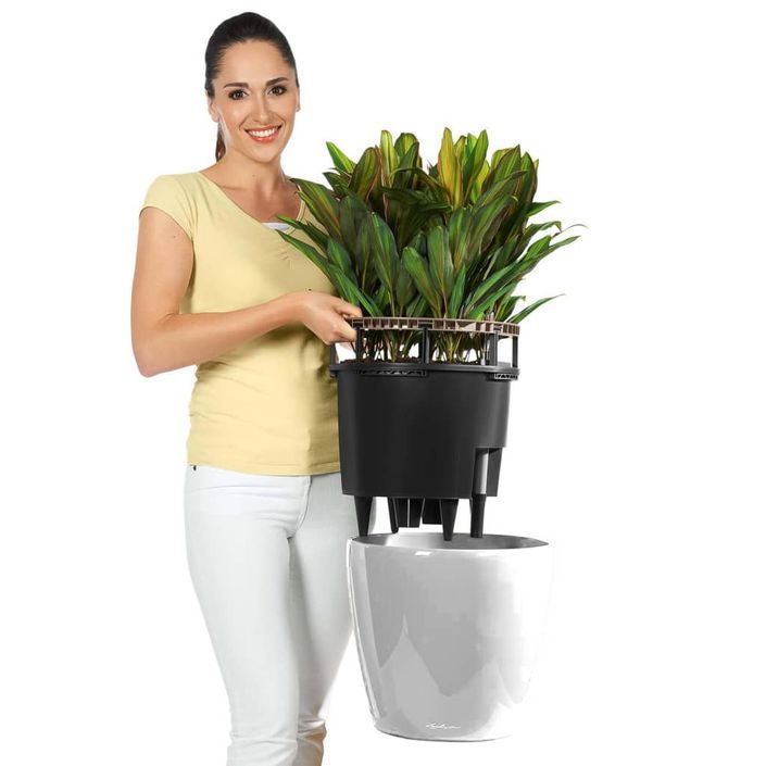 LECHUZA Jardinière CLASSICO LS 43 ALL-IN-ONE blanc brillant 16080 - Photo n°7