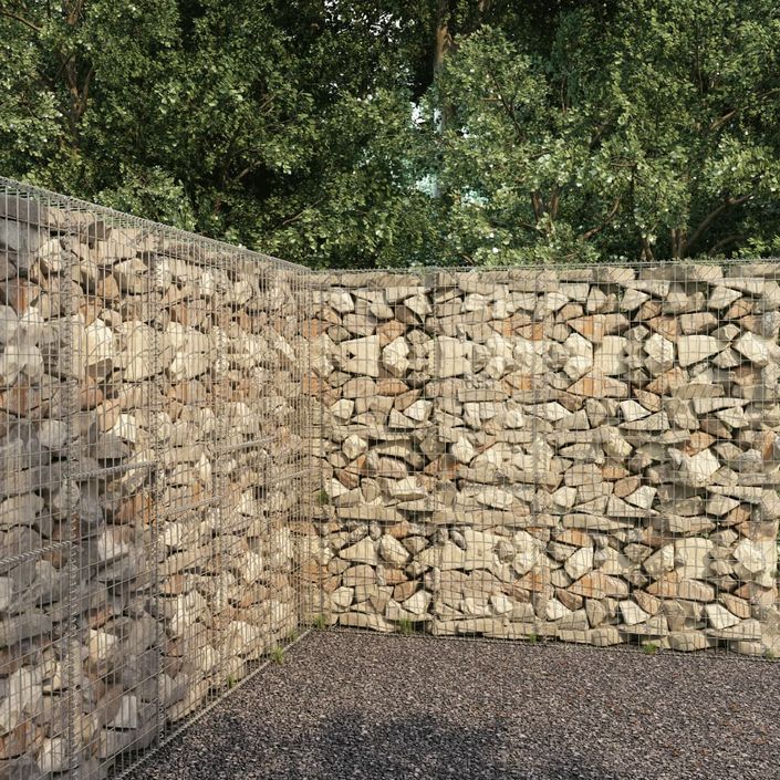 Mur en gabion avec couvercle Acier galvanisé 300 x 50 x 200 cm - Photo n°1