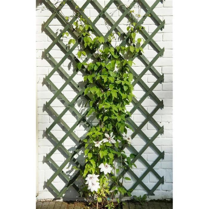 Nature Trellis de jardin 50 x 150 cm Bois Vert - Photo n°1