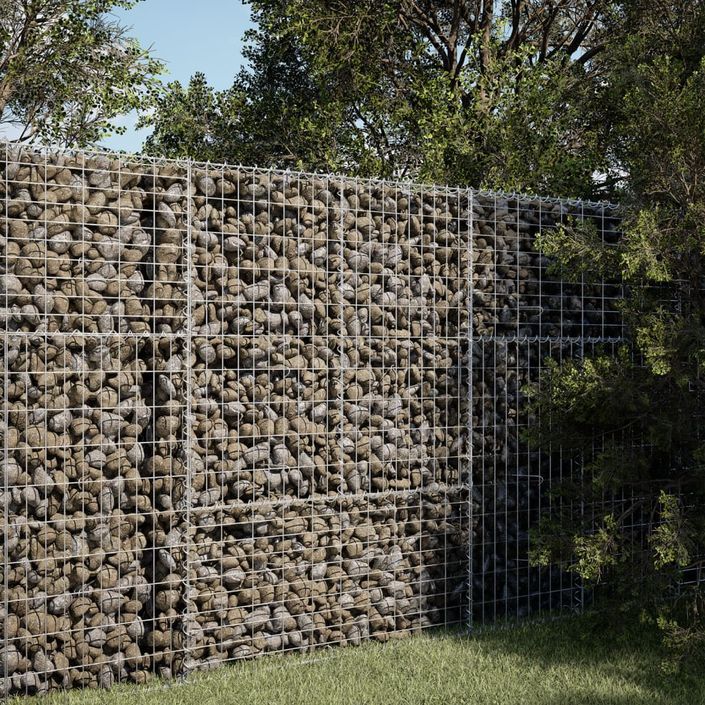 Panier gabion avec couvercle 100x50x150 cm fer galvanisé - Photo n°1