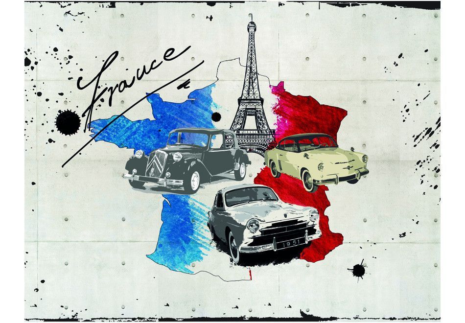 Papier peint Admirer of cars (France) 2 - Photo n°2