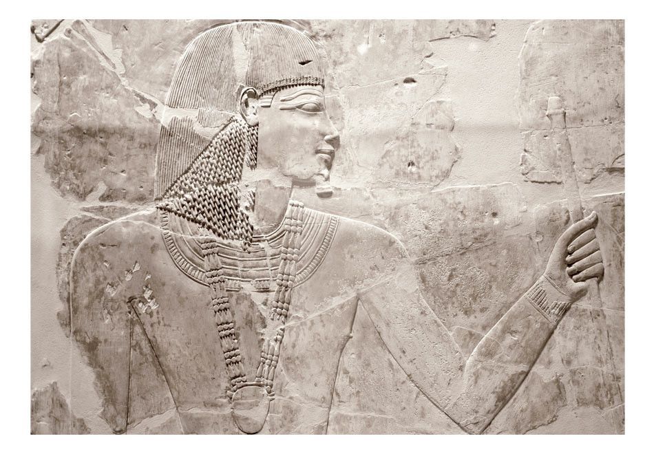 Papier peint Egyptian Relief - Photo n°2