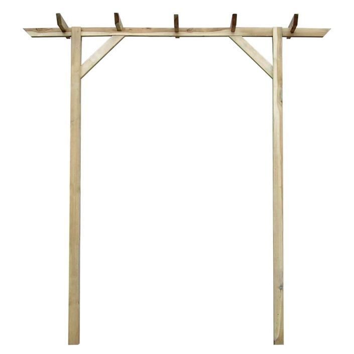 Pergola de jardin 200 x 40 x 205 cm Bois - Photo n°1