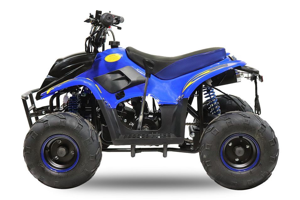 Quad 125cc automatique Bigfoot sport 6