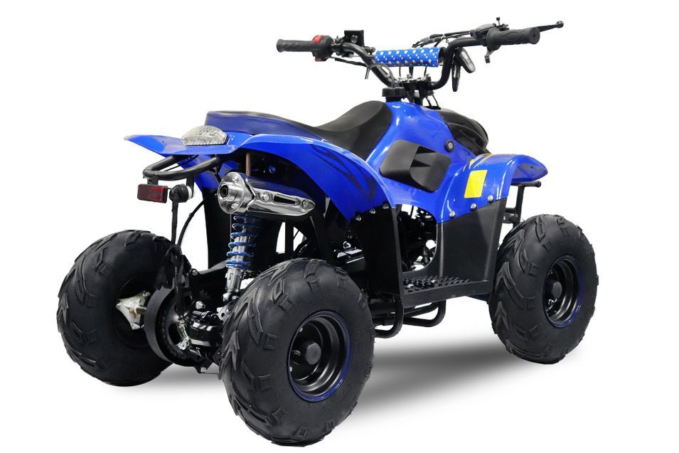 Quad 125cc automatique Bigfoot sport 6