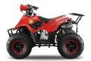 Quad 125cc automatique Bigfoot sport 6