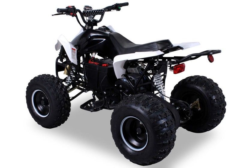 Quad électrique ado Speedy 1000W 48V 8