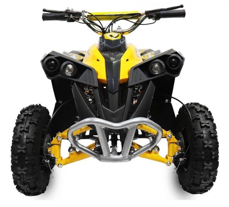 Quad électrique de luxe 1060W 6