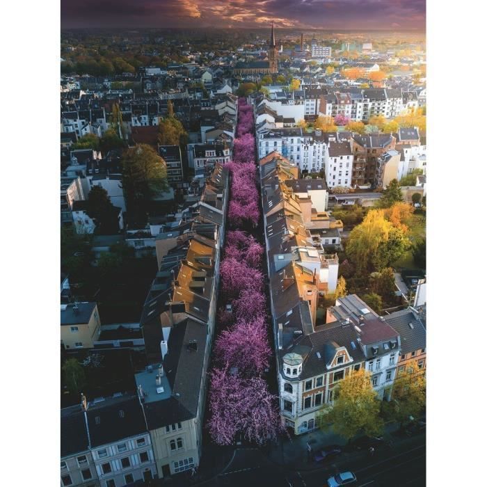 Ravensburger - Puzzle 1500 pieces - Bonn en fleurs - Photo n°3
