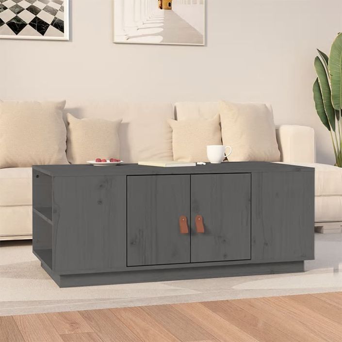 Table basse Gris 100x50x41 cm Bois massif de pin - Photo n°1