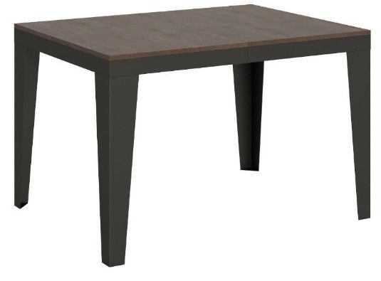 Table rectangulaire extensible 6 à 10 places L 120 à 224 cm noyer et pieds acier gris foncé Flavien - Photo n°1