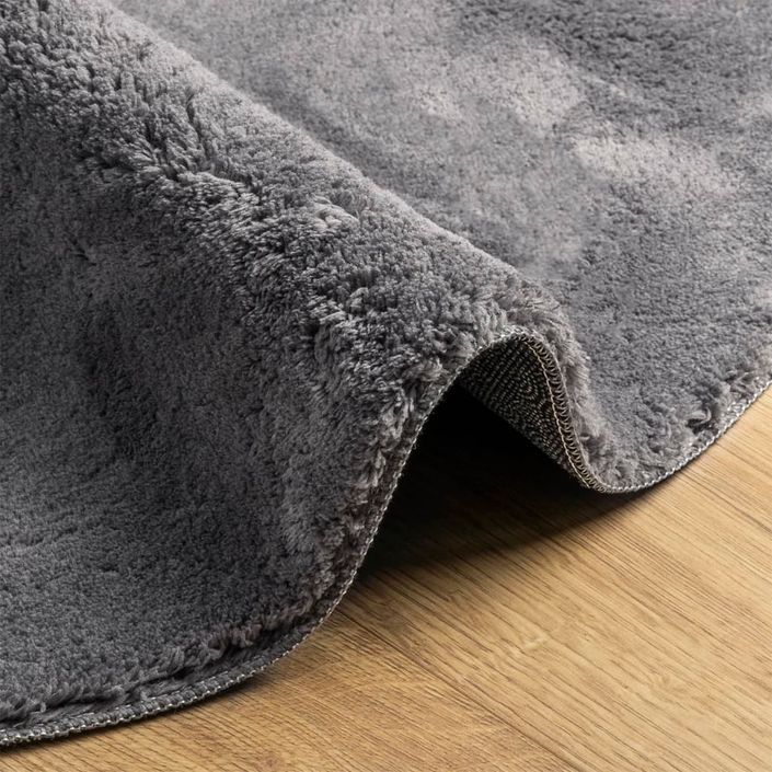 Tapis HUARTE à poils courts doux et lavable anthracite Ø 160 cm - Photo n°6