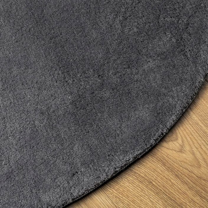 Tapis HUARTE à poils courts doux et lavable anthracite Ø 80 cm - Photo n°4