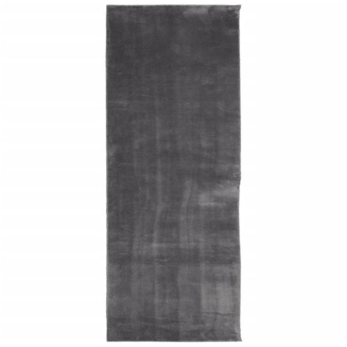 Tapis HUARTE à poils courts doux et lavable anthracite 80x200cm - Photo n°1