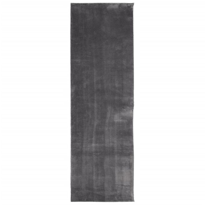 Tapis HUARTE à poils courts doux et lavable anthracite 80x250cm - Photo n°1