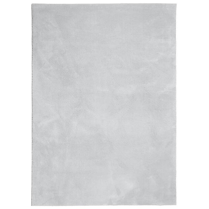 Tapis HUARTE à poils courts doux et lavable gris 120x170 cm - Photo n°1