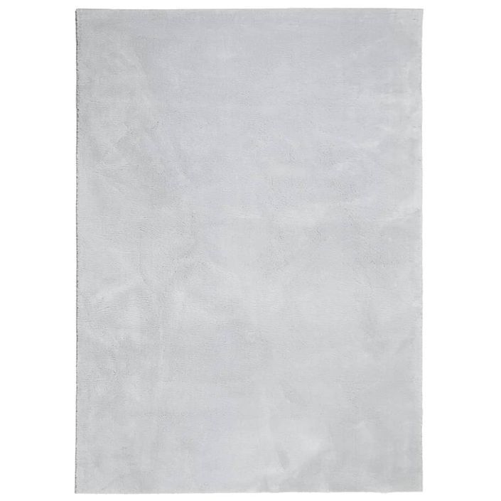 Tapis HUARTE à poils courts doux et lavable gris 160x230 cm - Photo n°1