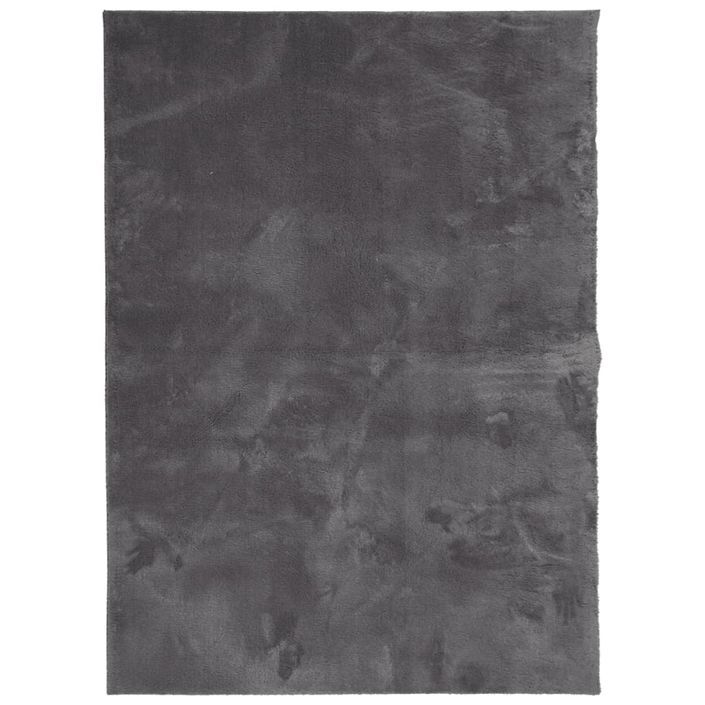 Tapis HUARTE à poils courts doux lavable anthracite 120x170 cm - Photo n°1