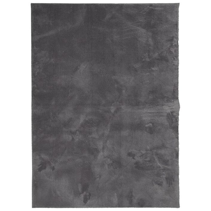 Tapis HUARTE à poils courts doux lavable anthracite 140x200 cm - Photo n°1