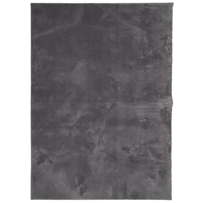 Tapis HUARTE à poils courts doux lavable anthracite 200x280 cm - Photo n°1