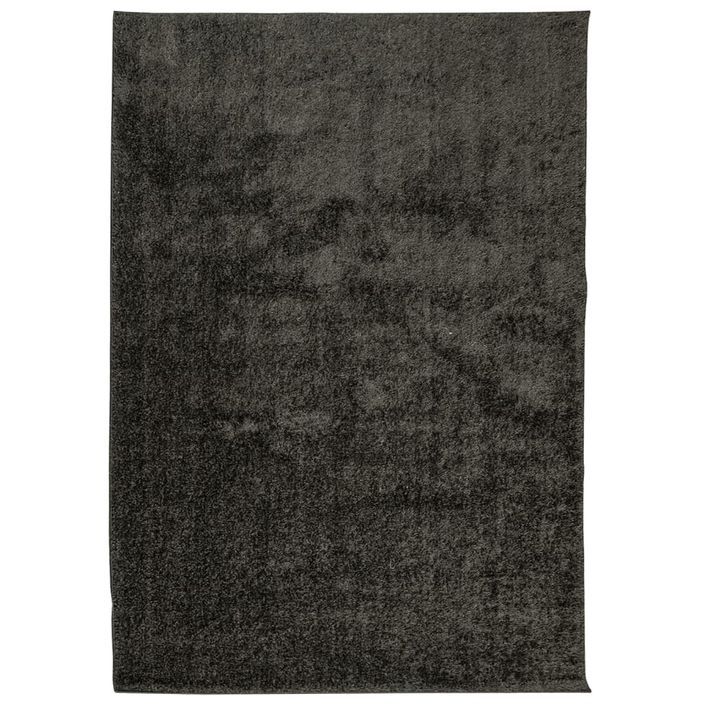 Tapis ISTAN à poils longs aspect brillant anthracite 120x170 cm - Photo n°1