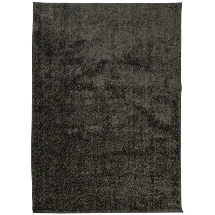 Tapis ISTAN à poils longs aspect brillant anthracite 200x280 cm - Photo n°1