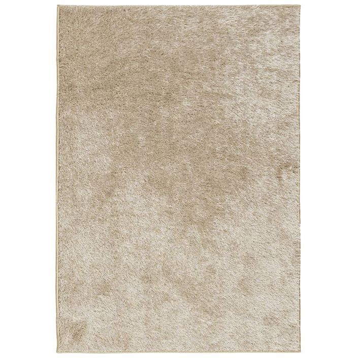 Tapis ISTAN à poils longs aspect brillant beige 120x170 cm - Photo n°1