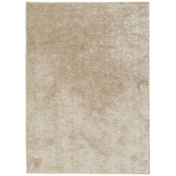 Tapis ISTAN à poils longs aspect brillant beige 200x280 cm - Photo n°1