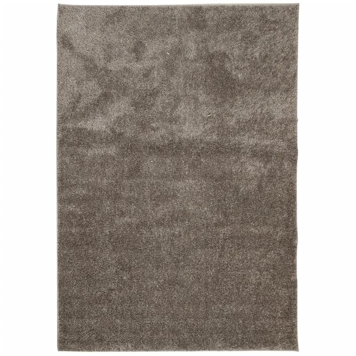 Tapis ISTAN à poils longs aspect brillant gris 120x170 cm - Photo n°1