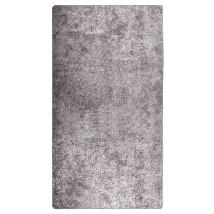 Tapis lavable antidérapant 190x300 cm Gris - Photo n°1