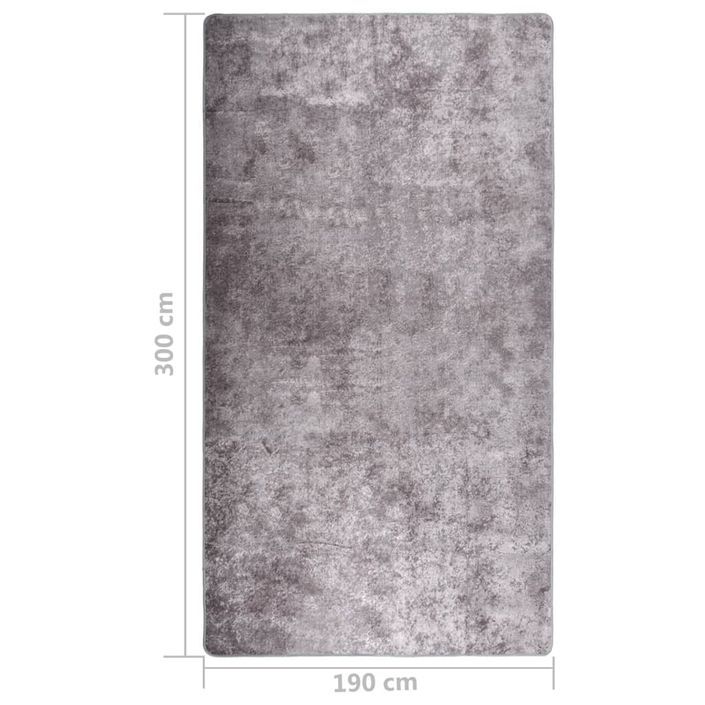 Tapis lavable antidérapant 190x300 cm Gris - Photo n°5