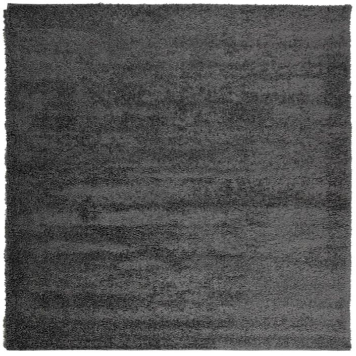 Tapis shaggy à poils longs moderne anthracite 160x160 cm - Photo n°1