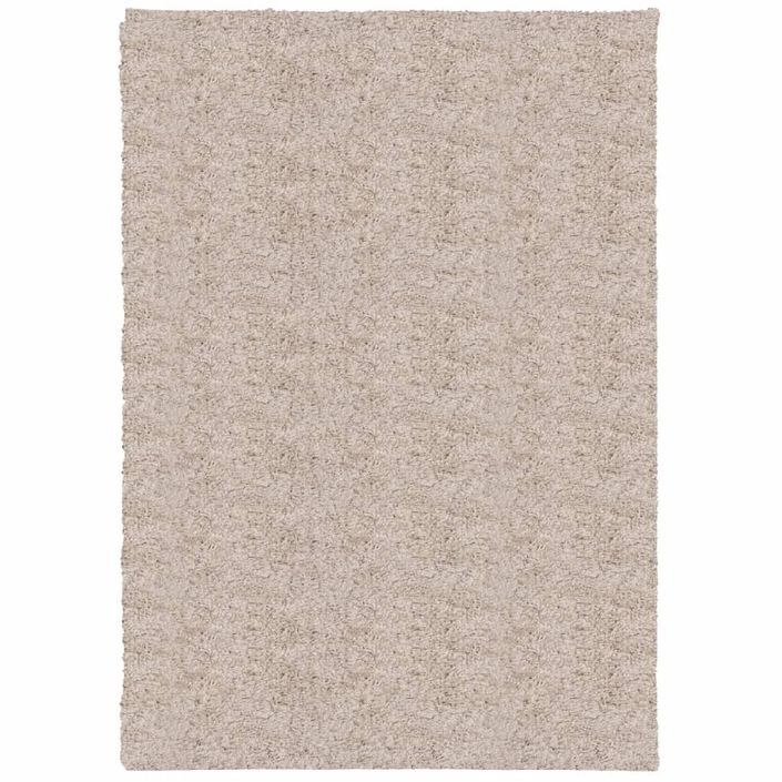 Tapis shaggy à poils longs moderne beige 160x230 cm - Photo n°1