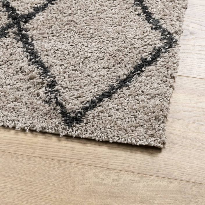 Tapis shaggy à poils longs moderne beige anthracite 120x170 cm - Photo n°4