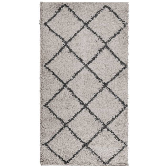 Tapis shaggy à poils longs moderne beige anthracite 60x110 cm - Photo n°1