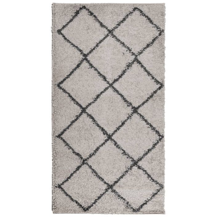 Tapis shaggy à poils longs moderne beige anthracite 80x150 cm - Photo n°1