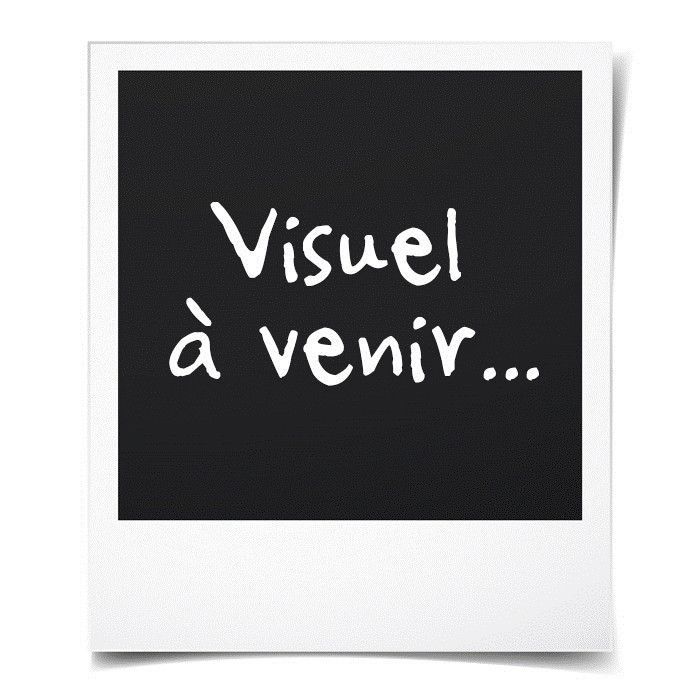 YVOLUTION Draisienne Yvelo Junior - Bleu - Photo n°4