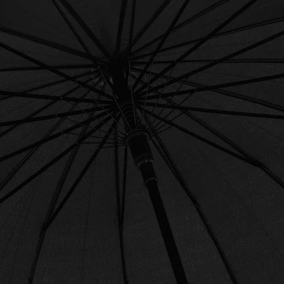 Photo n°2