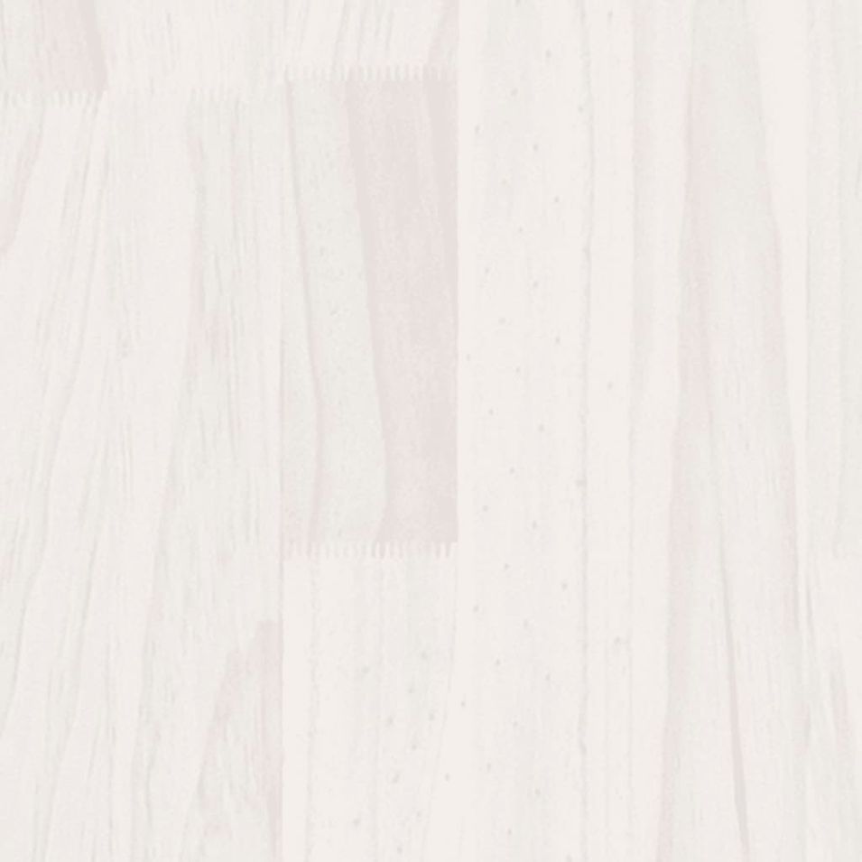 Photo n°5